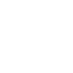 Schuhe von Ammann 1917