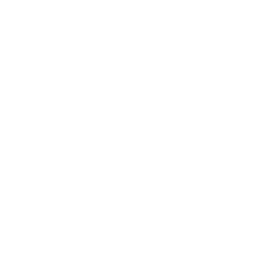 Schuhe von alto