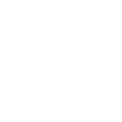Schuhe von ASH