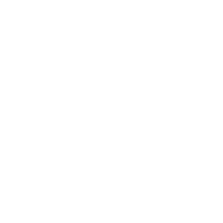 Schuhe von hogan