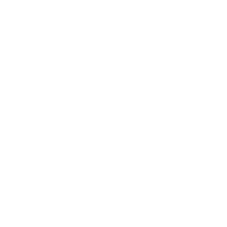 Schuhe von homers artisan