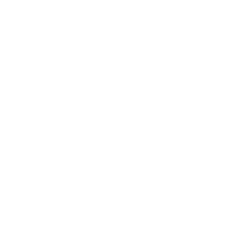 Schuhe von premiata