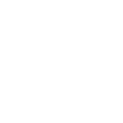 Schuhe von tods